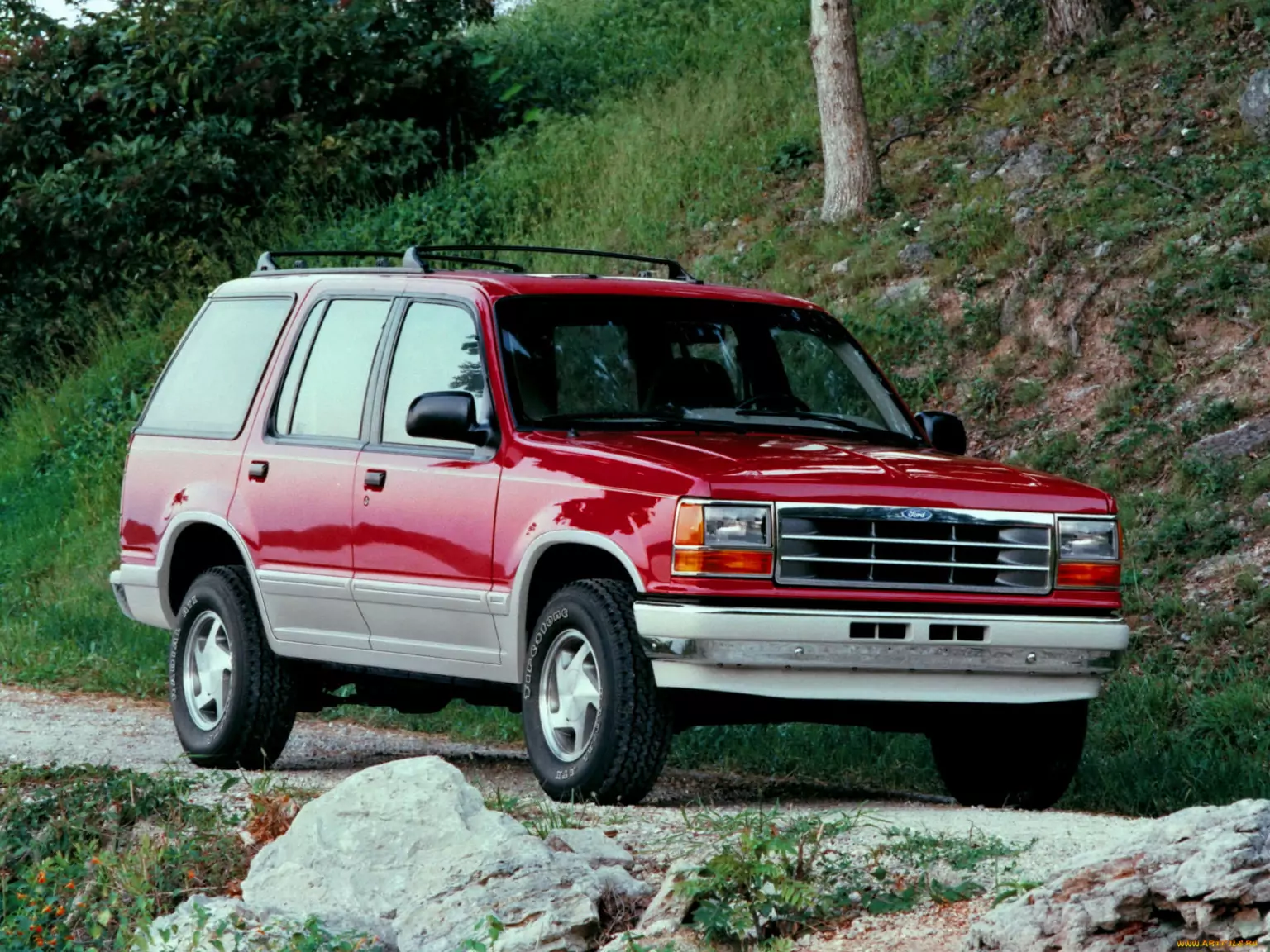1991–1994